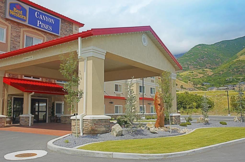 峡谷杉木贝斯特韦斯特plus酒店 奥格登 外观 照片